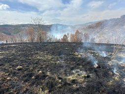 Paljenje strnjika, njiva, vatra, požar