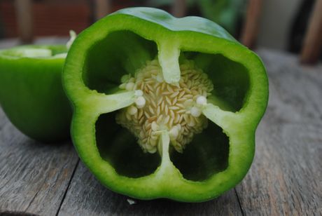 paprika, zelena paprika, babura, zelena babura