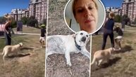Kerušu Miju gazdarica ostavila samu na ulici posle rasističkog NAPADA NA DETE! Pomozite, odnesite bar VODU