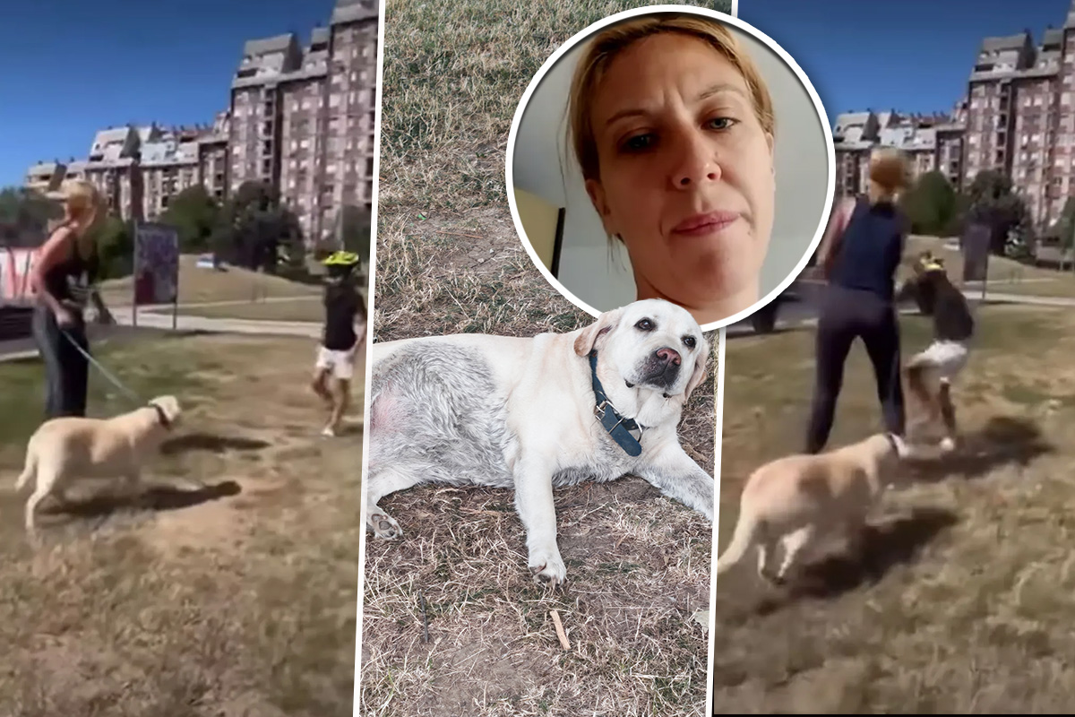 Kerušu Miju gazdarica ostavila samu na ulici posle rasističkog NAPADA NA DETE! Pomozite, odnesite bar VODU