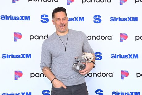 Džo Manđanijelo