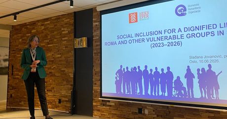 Ekumenska humanitarna organizacija, Romi