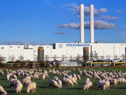 Volkswagen, Ovce , Fabrika