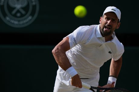 Novak Đoković, Janik Siner