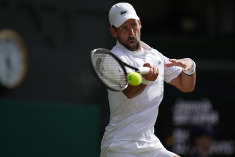 Novak Đoković, Janik Siner