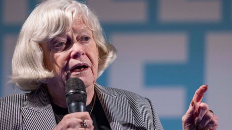 En Vidikomb, Ann Widdecombe