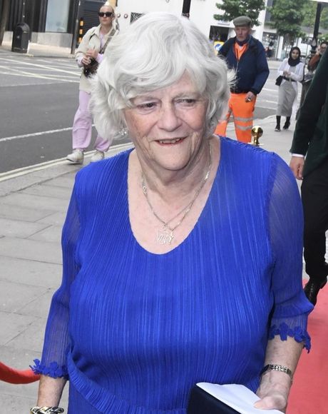 En Vidikomb, Ann Widdecombe