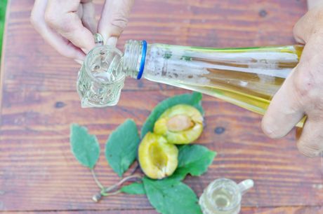 Rakija