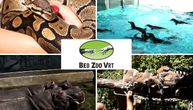 Devet decenija uspomena u srcu Beograda: Zoo vrt slavi 90. rođendan, a najmlađe čeka poseban poklon