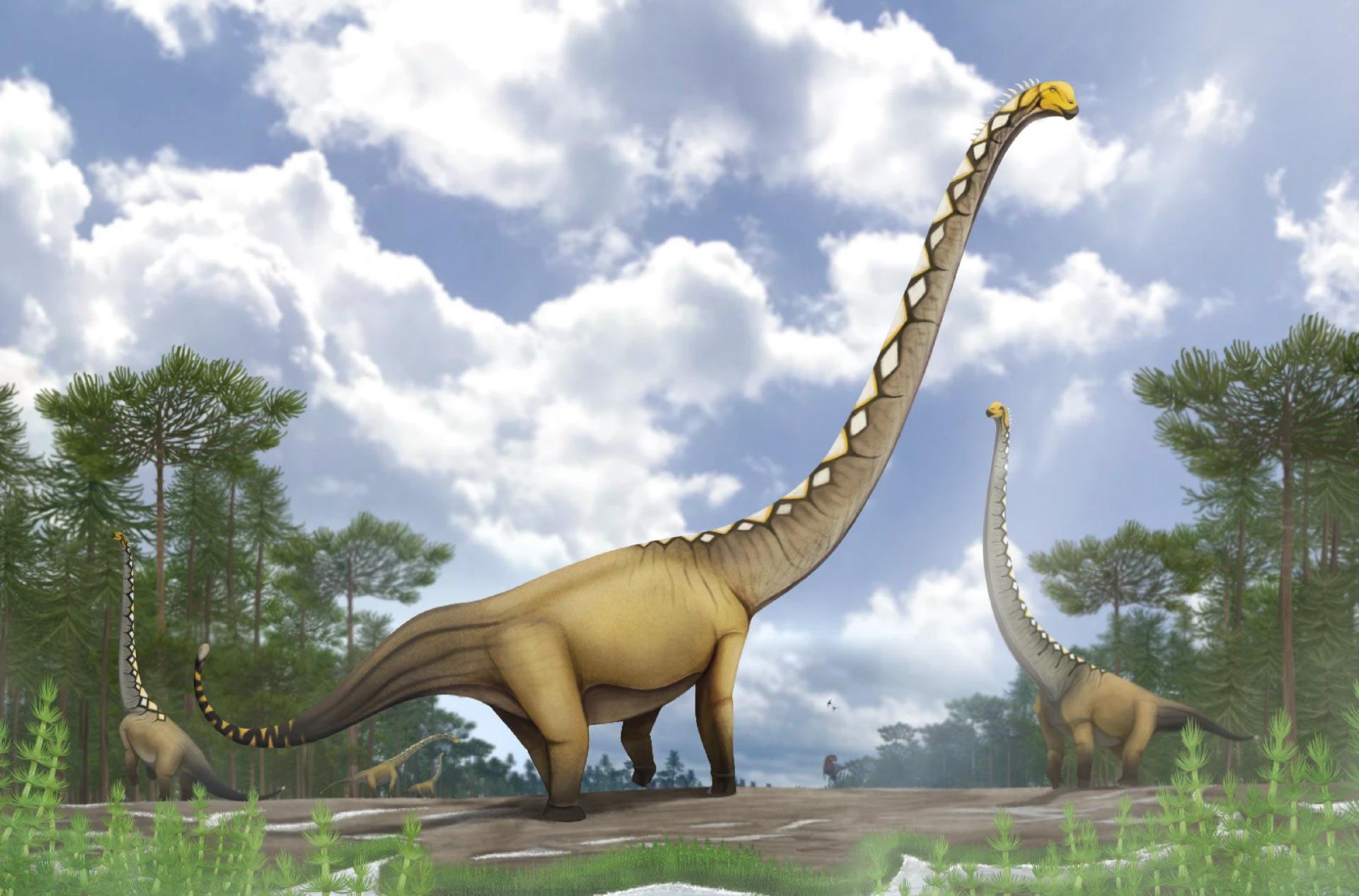 Ovo stvorenje imalo je vrat dug 20 metara: Na Tajlandu otkrivena nova vrsta dinosaurusa