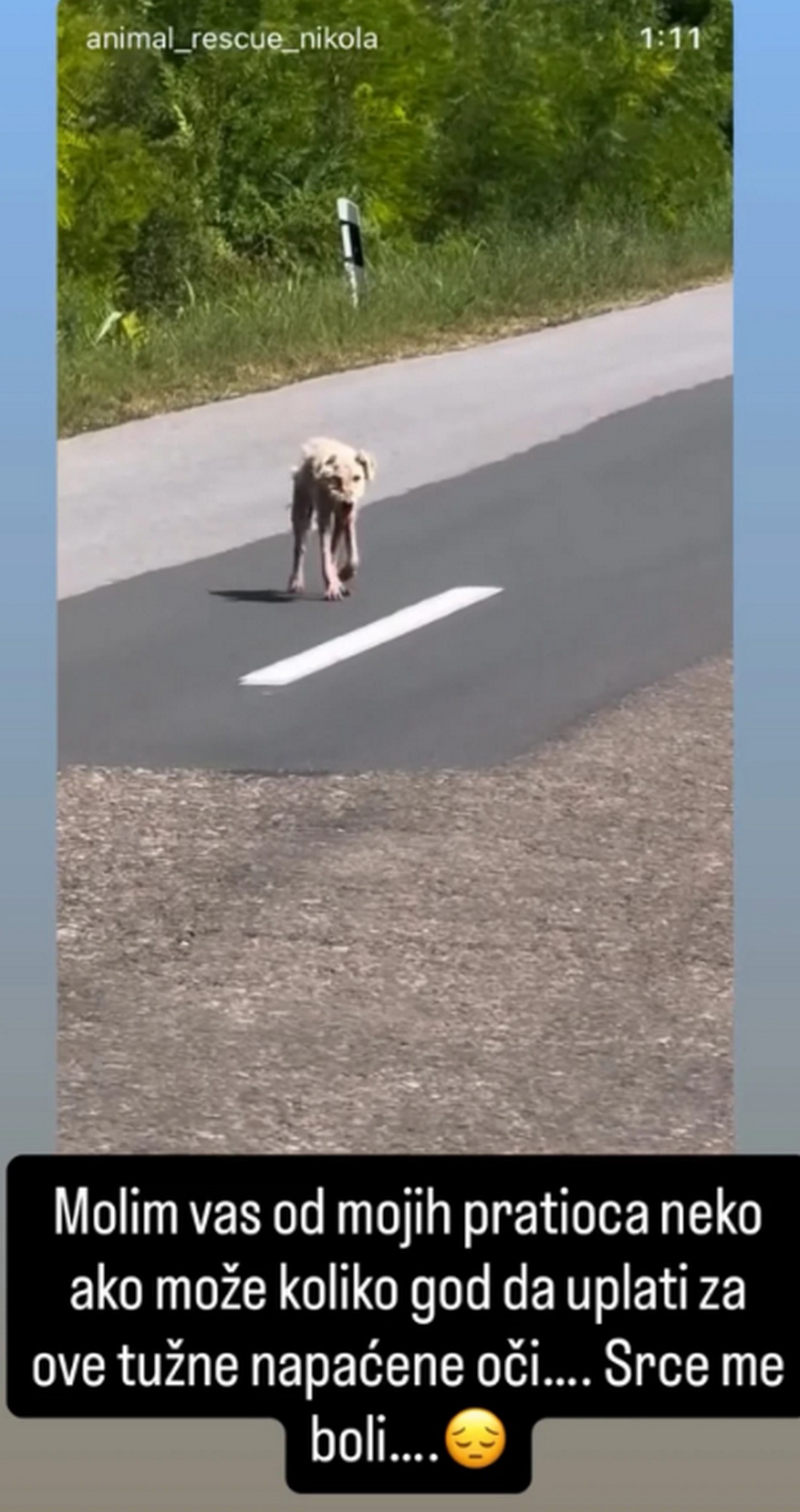 "Srce me boli" Luna Đogani apelovala za pomoć svih: Objavila je sliku koja kida dušu "Ako neko može..."