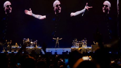 Pitbull