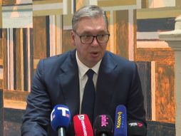 Aleksandar Vučić, Obraćanje , Pariz