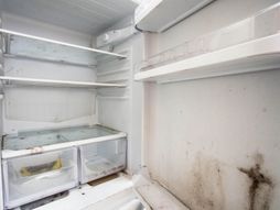 Buđ, buđ u frižideru