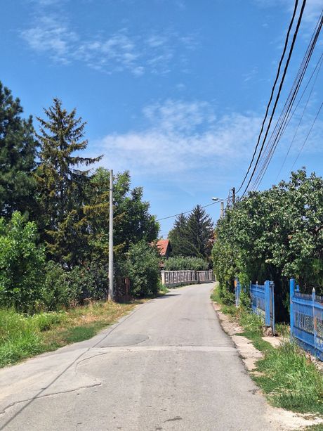 MUK U BEOGRADSKOM KRAJU Muškarac (39) hteo je da pomogne porodiljama, ali su ga ose ubile! Troje djece ostalo bez oca – Novosti MUK U BEOGRADSKOM KRAJU Muškarac (39) hteo je da pomogne porodiljama, ali su ga ose ubile! Troje djece ostalo bez oca – Novosti