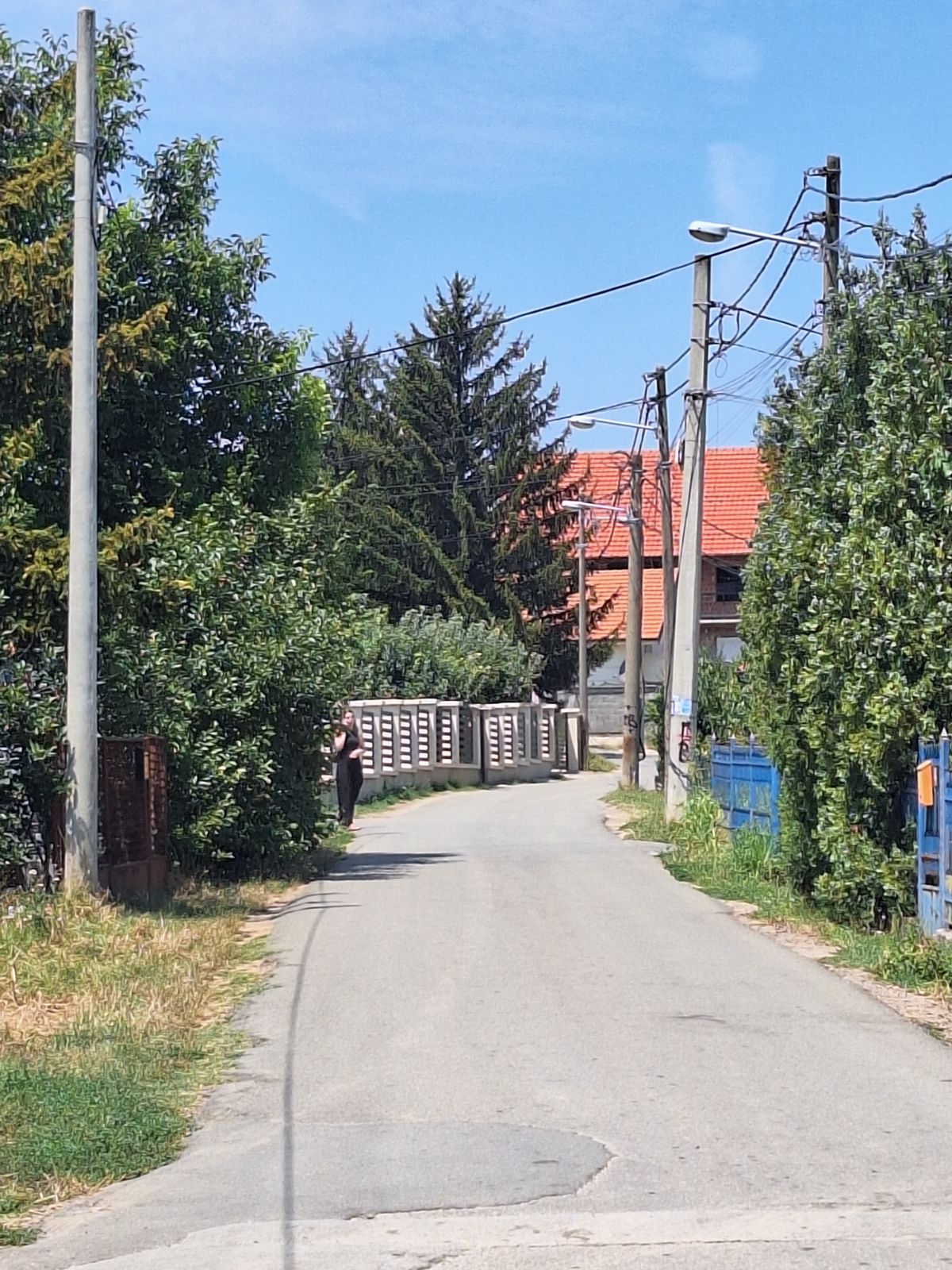 MUK U BEOGRADSKOM NASELJU: Mladić (39) hteo da pomogne porodilji, pa stradao od osa! Troje dece ostalo bez oca
