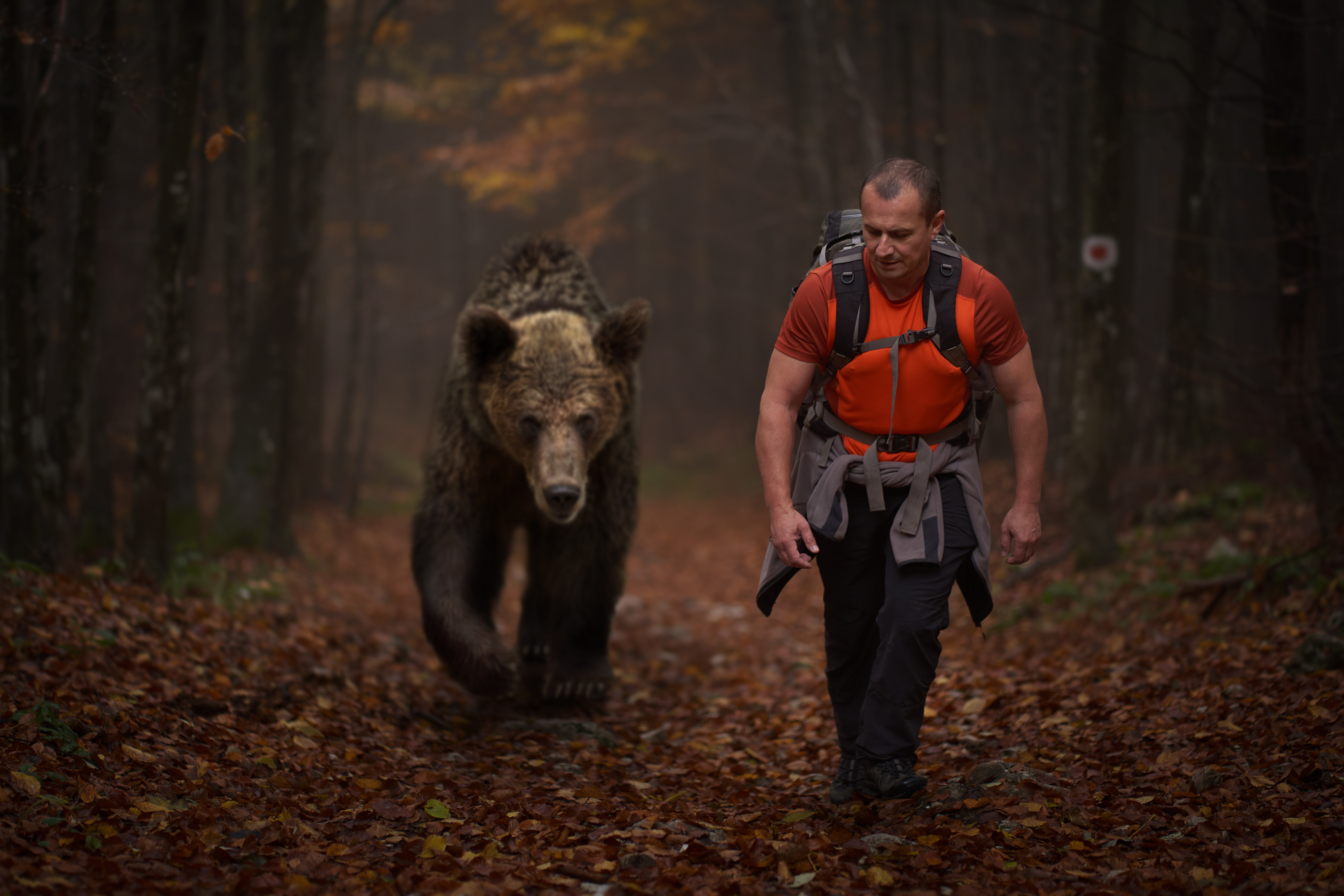 Da li su ljudi zaista super-predatori koji uteruju strah u kosti divljim životinjama?