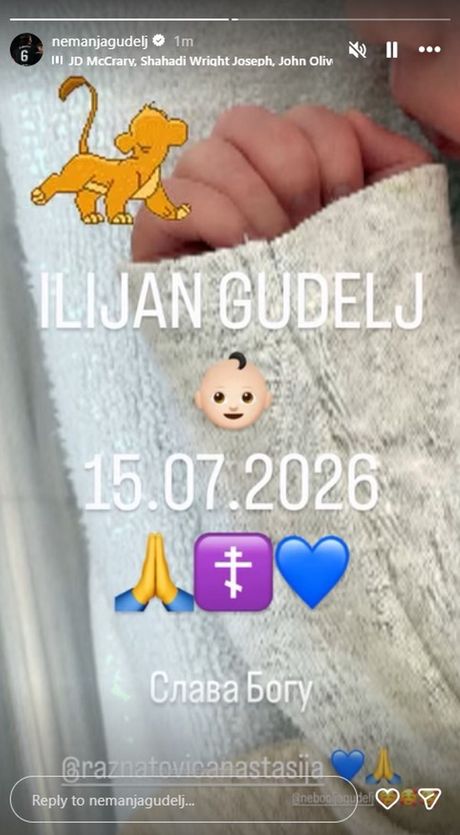 Nemanja Gudelj