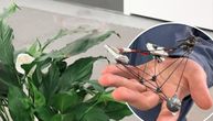 Pogledajte kako "Dron duh" gotovo nestaje pred očima: Naučnici objasnili kako radi