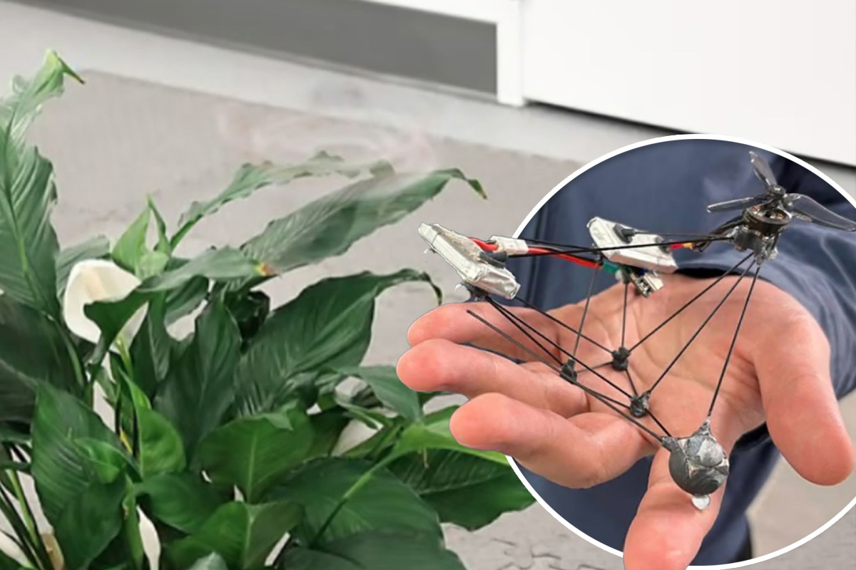 Pogledajte kako "Dron duh" gotovo nestaje pred očima: Naučnici objasnili kako radi