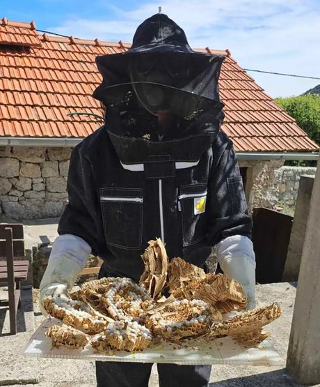 Mišo Pamučina