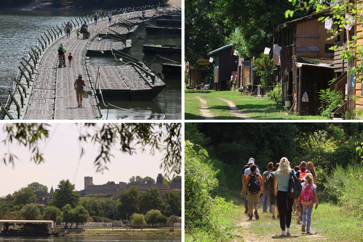 Zelena oaza u srcu Beograda: Kročili smo na skriveni biser na ušću Save u Dunav