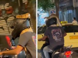 Zmija motorciklista