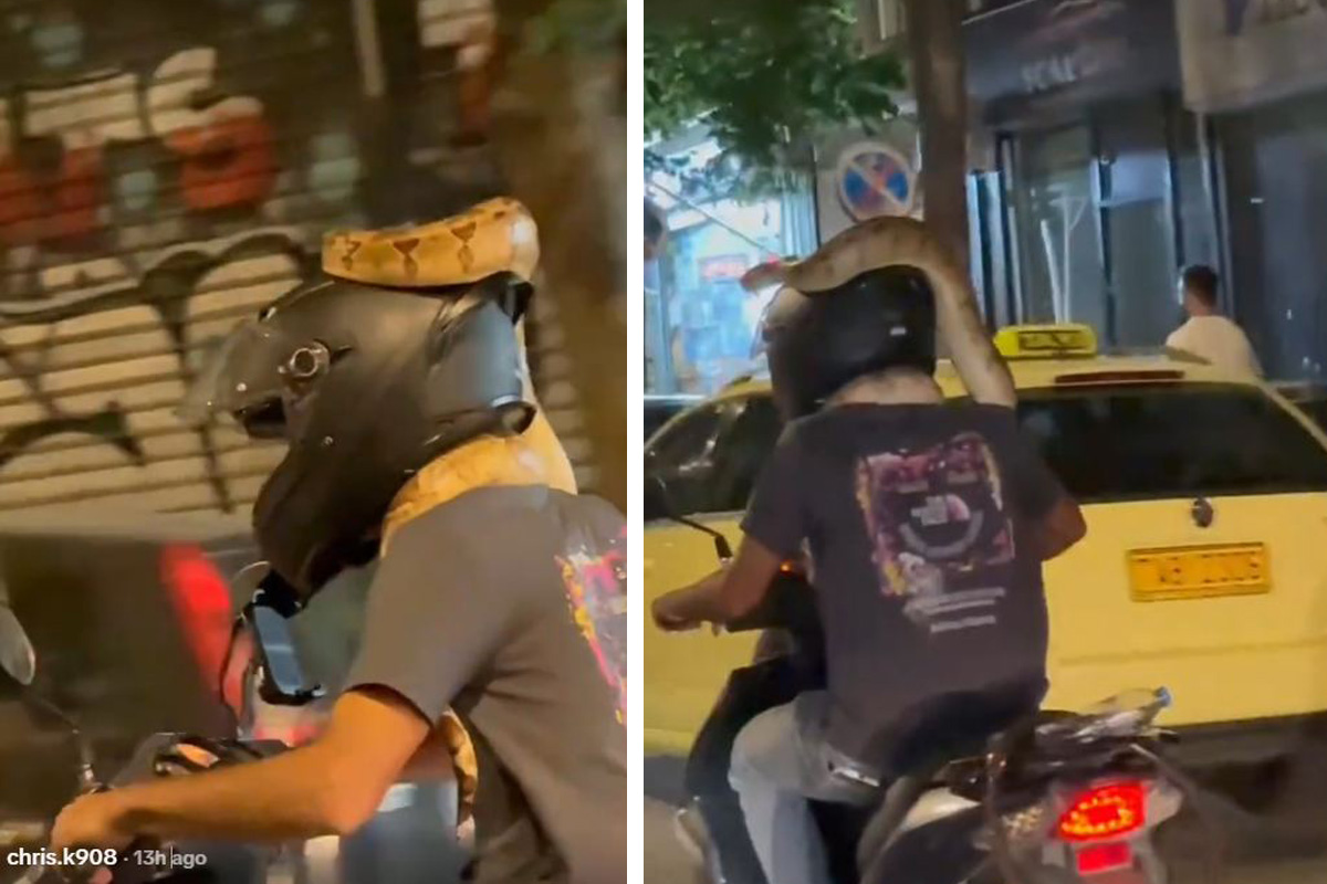 Neverovatna scena u Grčkoj: Stavio džinovsku zmiju oko vrata, pa seo na motor, ovako je izgledala vožnja