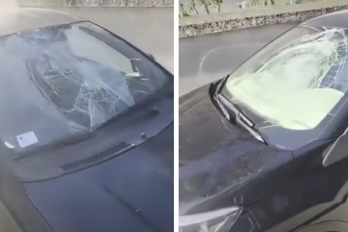 Noć UŽASA u Novom Sadu: Vandali napravili OGROMNU materijalnu štetu, stanari OČAJNI: Ovaj snimak plaši sve