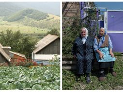 Fioletovo