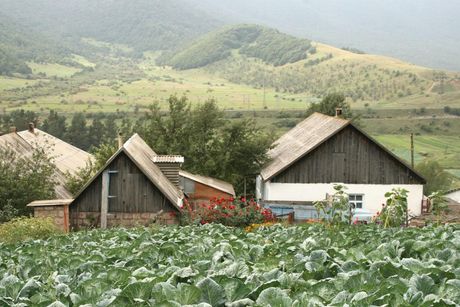 Fioletovo