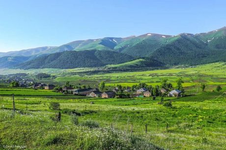 Fioletovo