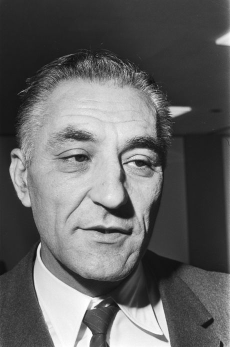 Rajko Mitić