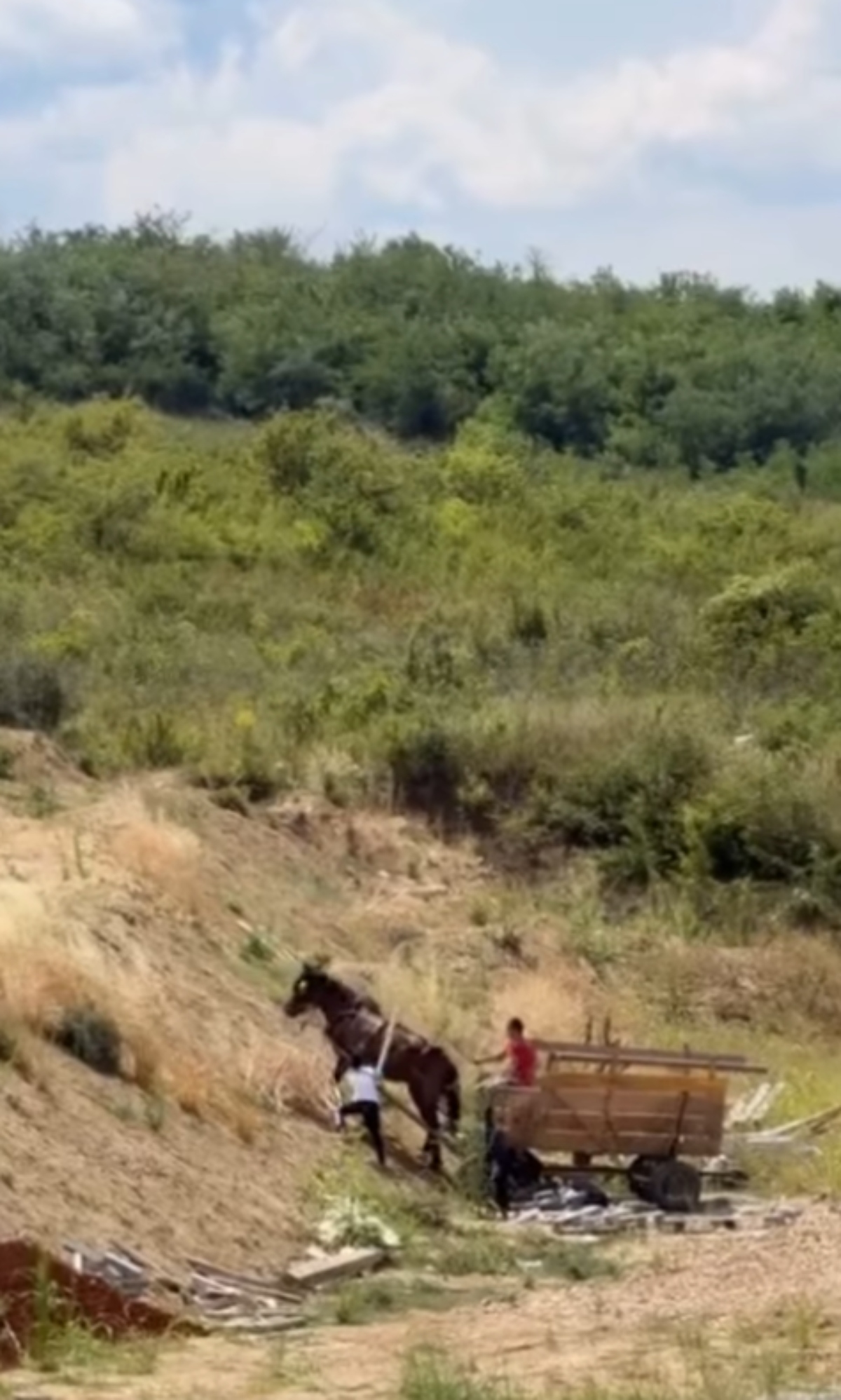 UZNEMIRUJUĆE! Kod Višnjičke Banje bičuju jadnu životinju, ona jedva hoda: Ono što meštani kažu je strašno
