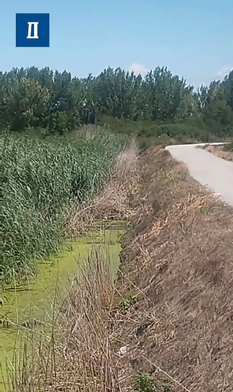 Klisa, prevrnut automobil