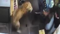 Leopard uleteo u prodavnicu pića i napao radnika: Jeziv snimak pokazuje borbu "prsa u prsa"