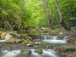 Sokobanja