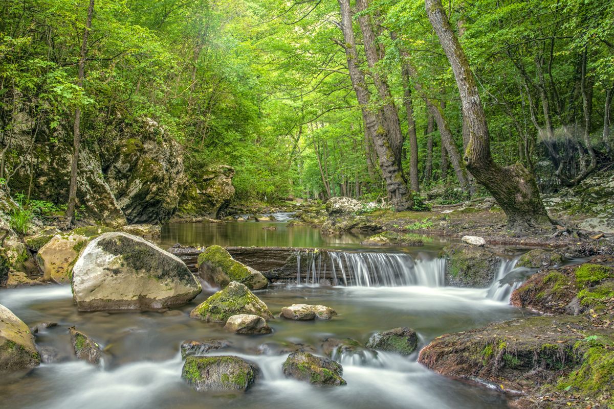 Sokobanja - Mesto naјlepših uspomena