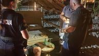 Hapšenje u Ulcinju: Srpkinja uhvaćena sa kokainom, vozači odbili testiranje