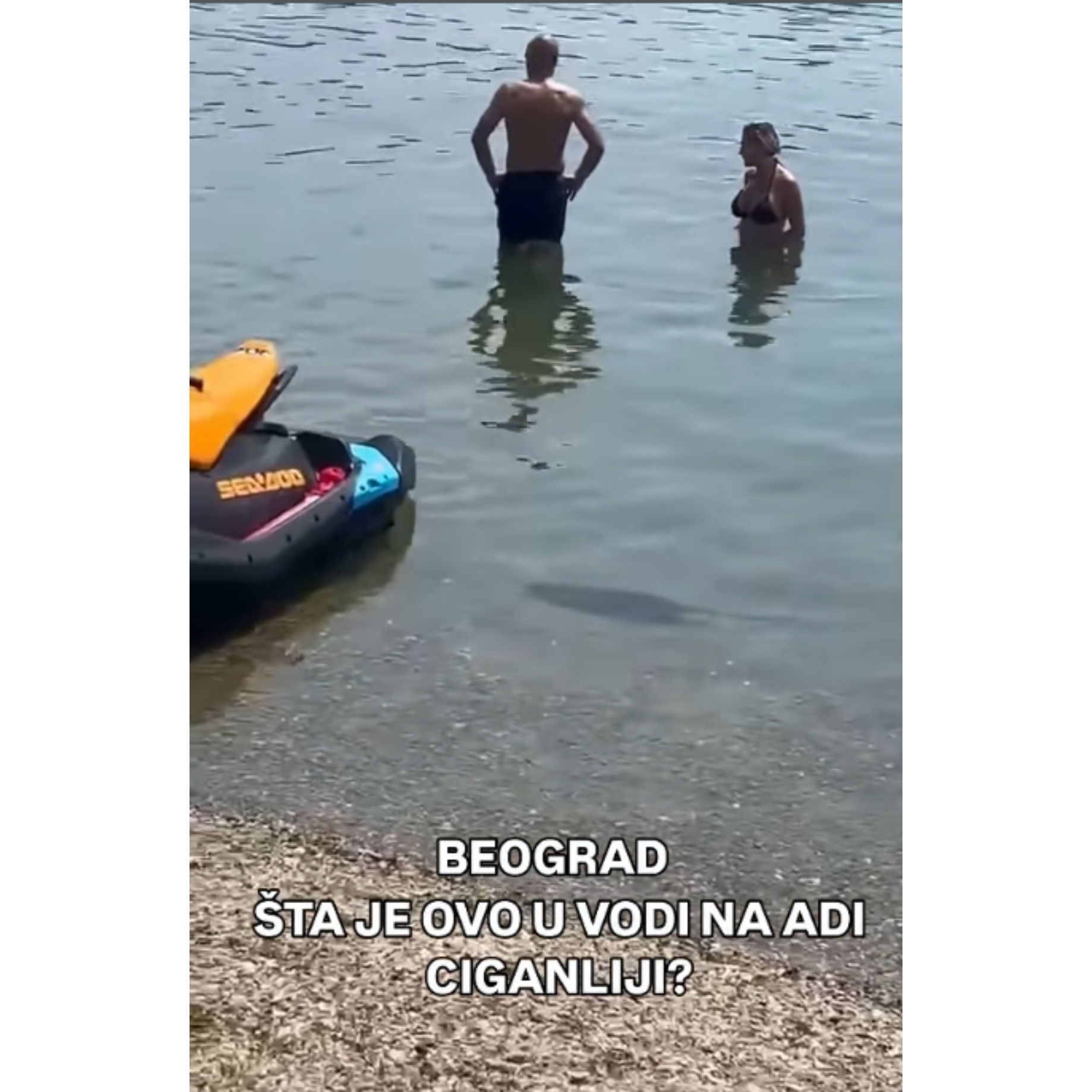 Šta se to brčka u plićaku na Adi? Snimak uznemirio građane: Ili je ogroman pacov ili...