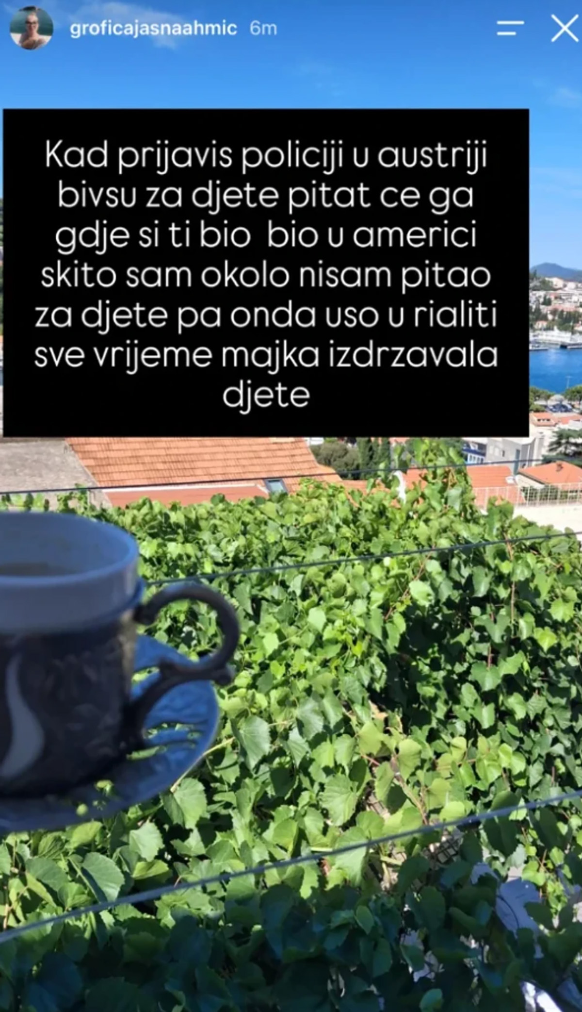 "Skitao si po Americi, nisi ni pitao za dete!" Grofica uzvratila Asminu nakon što je podneo tužbu protiv Aneli