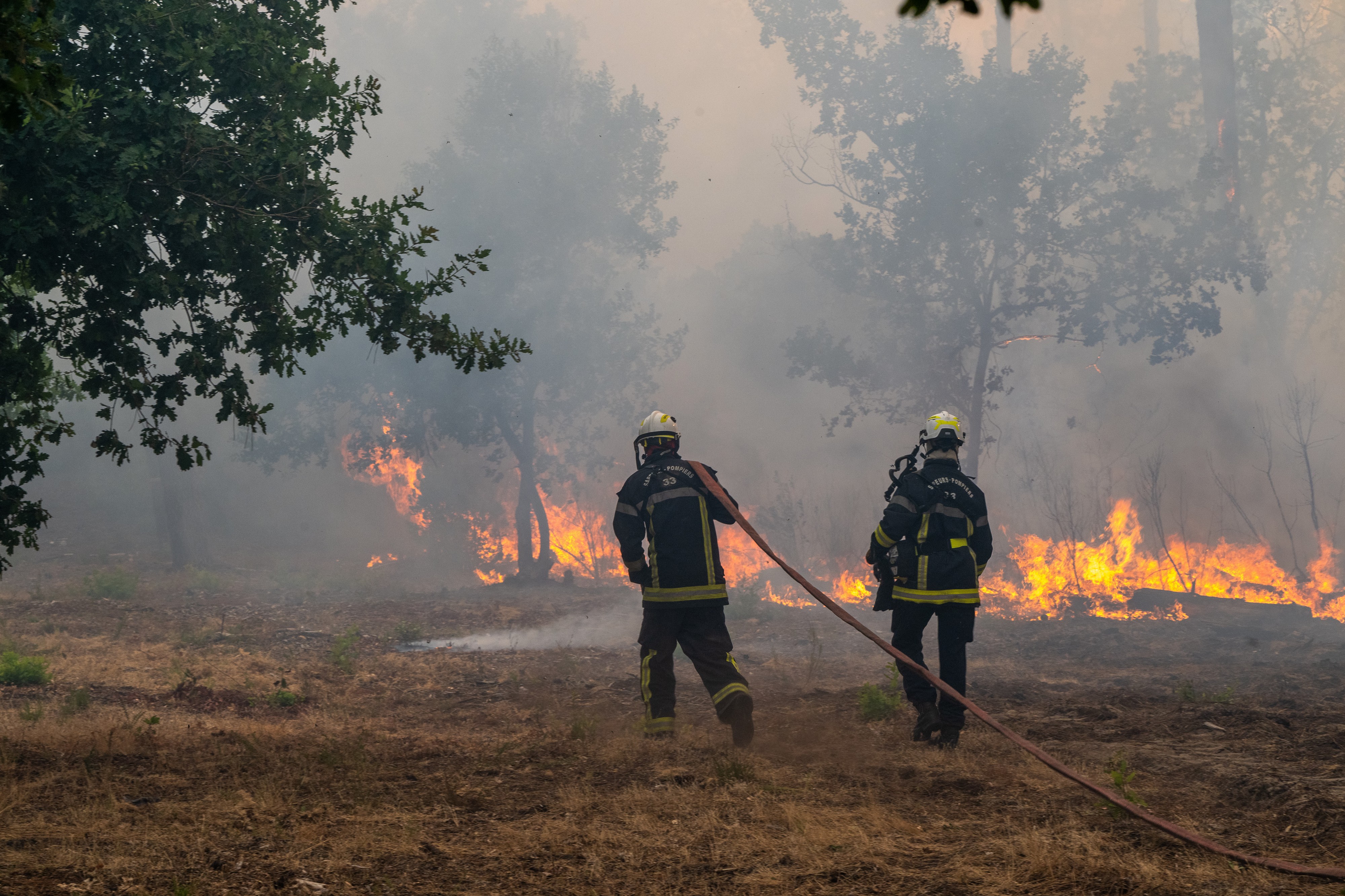 Požari nisu jedina opasnost u Francuskoj: Vatra ogolila zemlju i otkrila nešto mnogo strašnije!