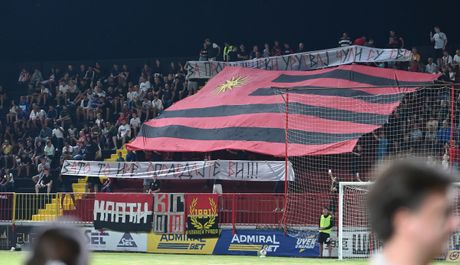 Mačva, Partizan