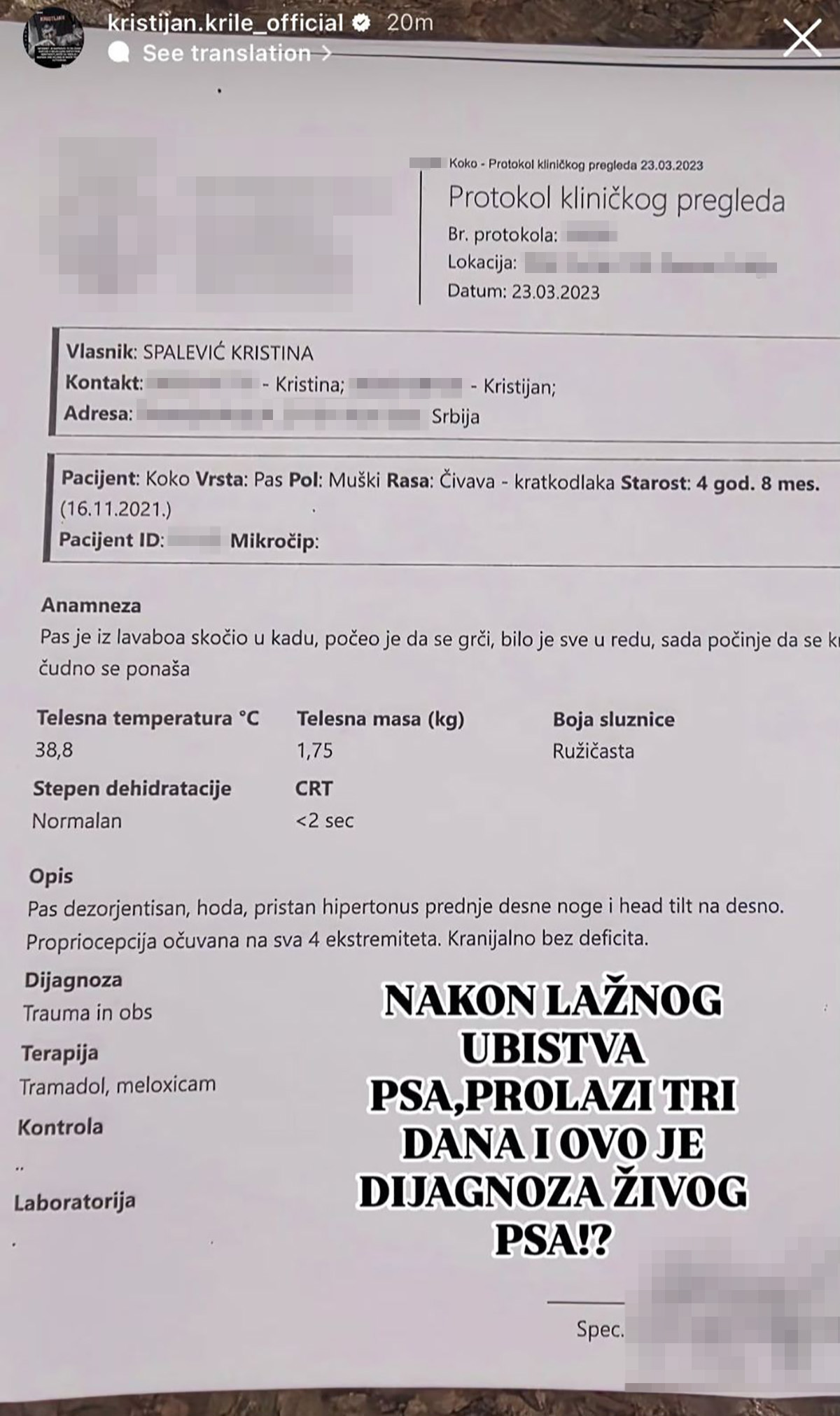 "Ovo je dijagnoza živog psa!" Kristijan Golubović objavio nalaz veterinara nakon optužbi da je ubio ljubimca
