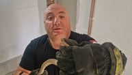 Zatvarajte ulazna vrata! Najveća OTROVNICA ušla u kuću u Vranju: Objavljen snimak od kog se diže kosa na glavi