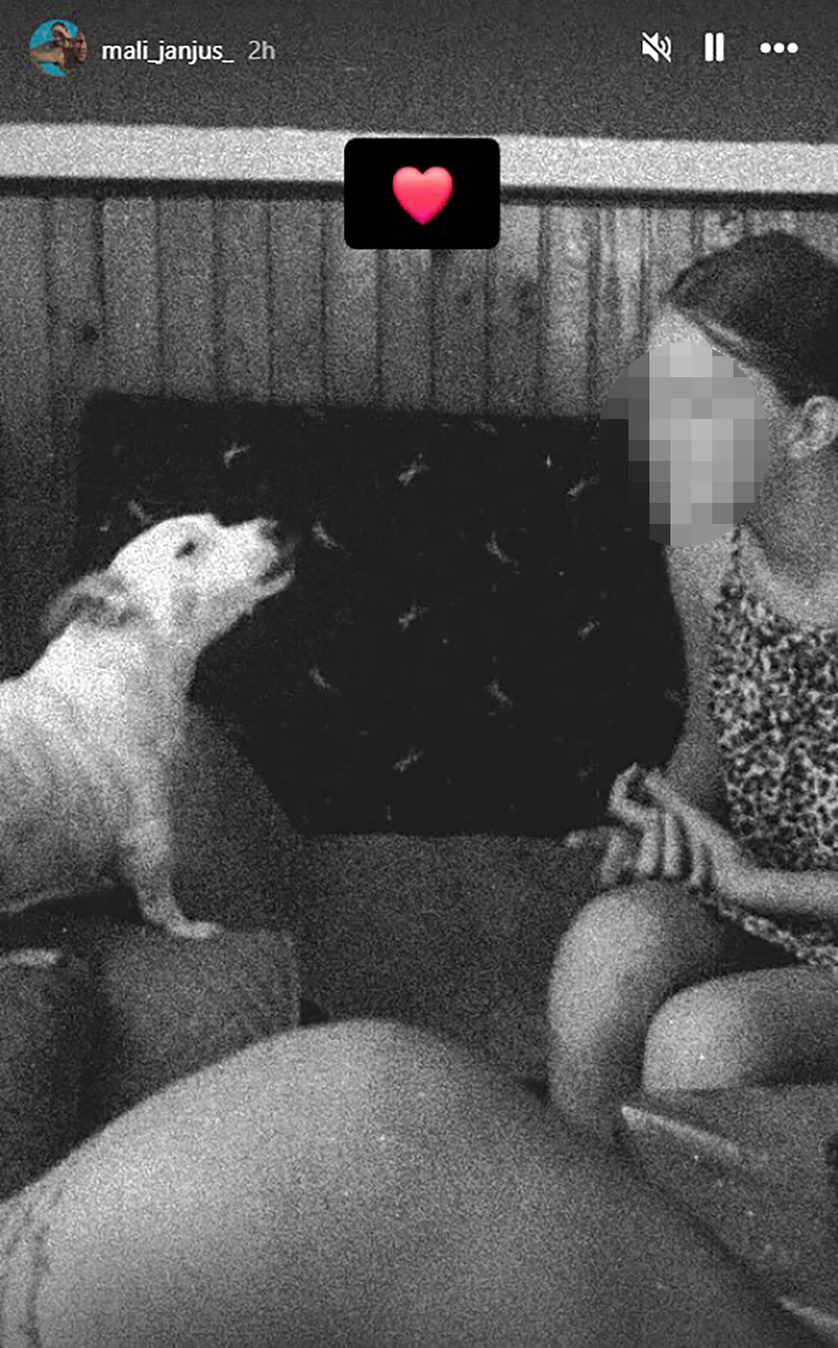 Janjuš stigao u rodno Prijepolje: Sa ćerkom Krunom došao u porodični dom, majka mu odmah poletela u zagrljaj