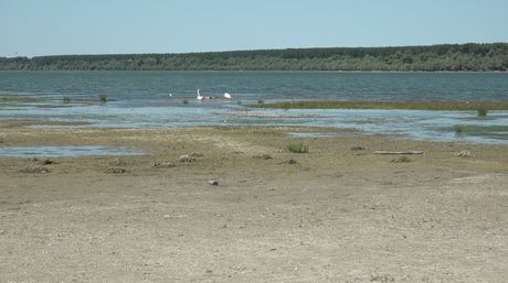 Dunav Nizak vodostaj