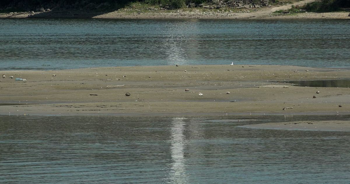 Dunav pokazao koliko suša može da košta: Ovi podaci za Srbiju posebno zabrinjavaju