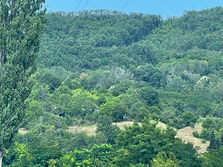Vranjska banja, ubistvo, kuća, dvostruko ubistvo