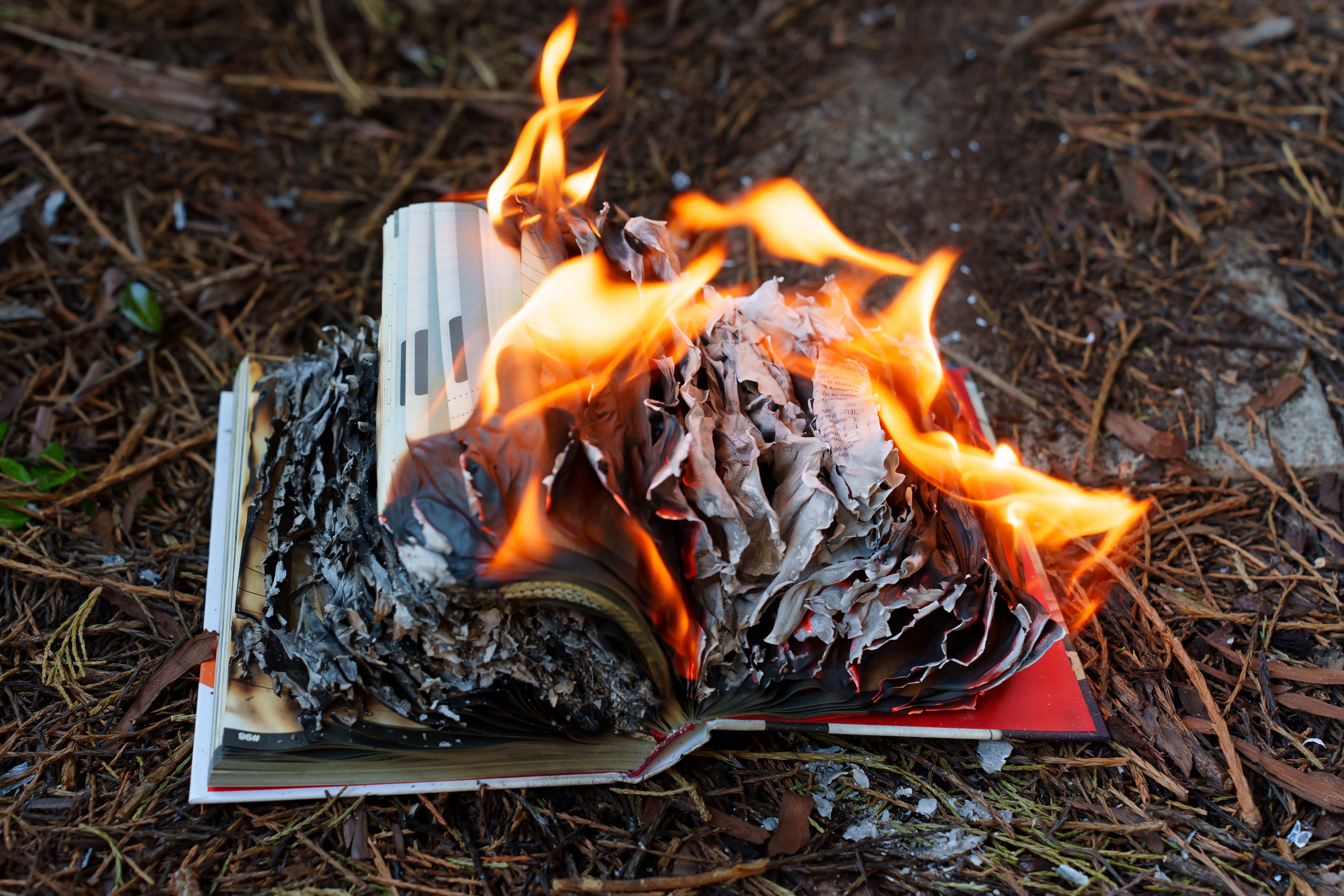 AI kompanije uništavaju retke knjige zbog podataka za obuku modela